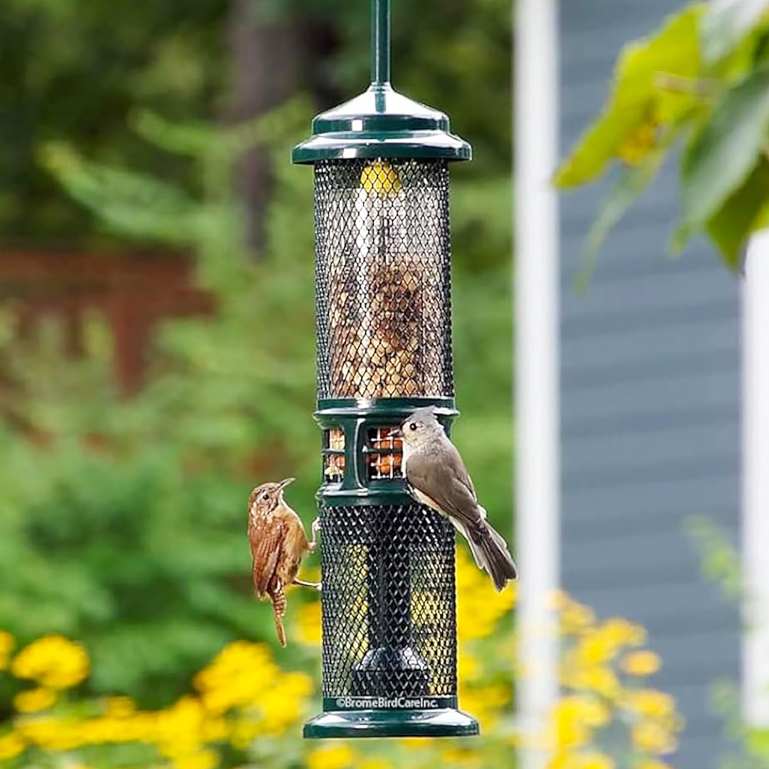 Brome Squirrel Buster feeder promotes mess-free feeding for your yard.