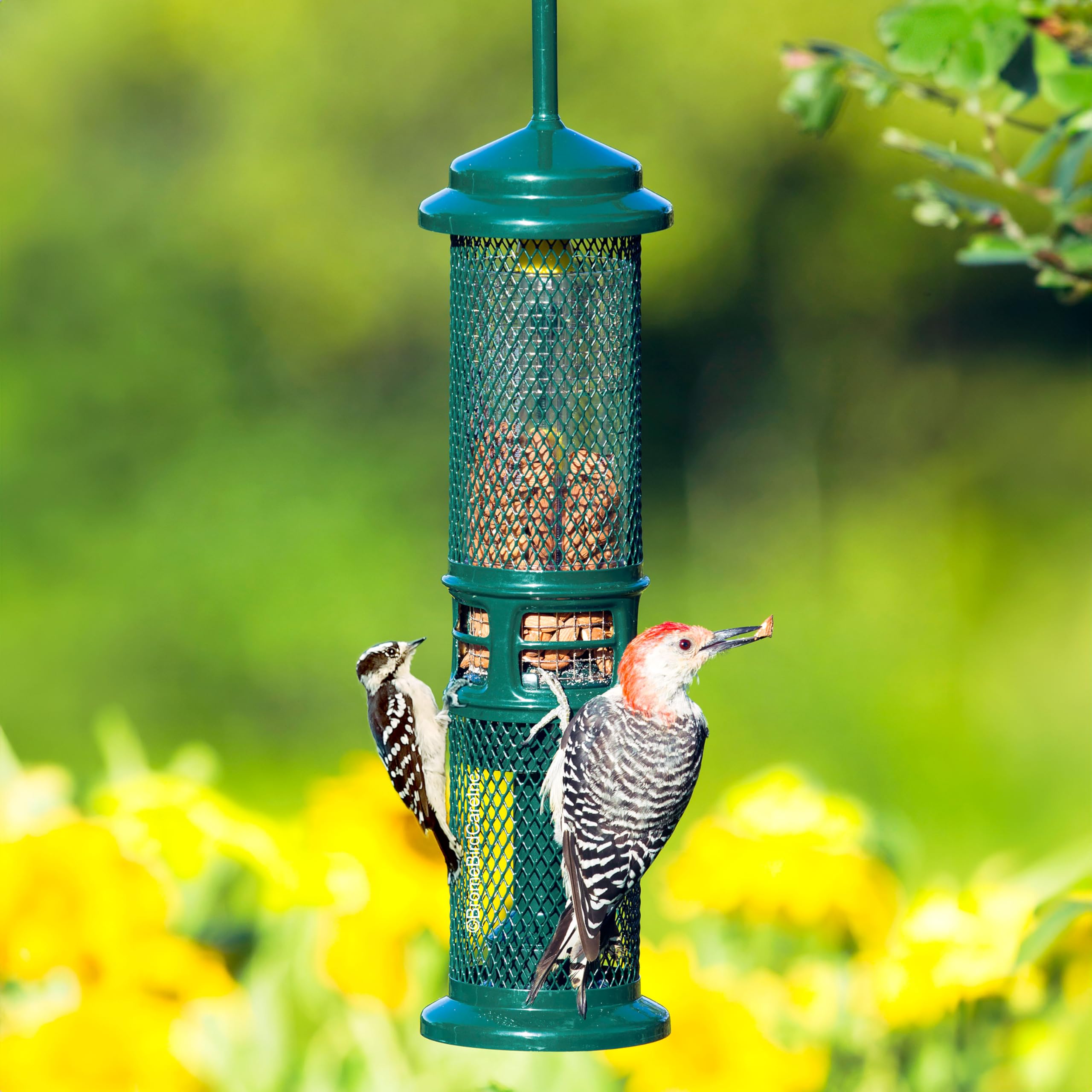 Brome Squirrel Buster feeder with shelled nuts and dried fruit in two mesh sizes.