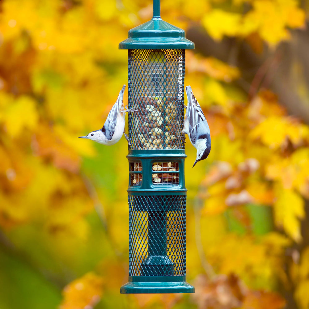 Brome Squirrel Buster feeder squirrel-proof shroud demonstrates weight-activated protection.