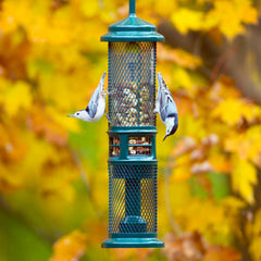 Brome Squirrel Buster feeder squirrel-proof shroud demonstrates weight-activated protection.