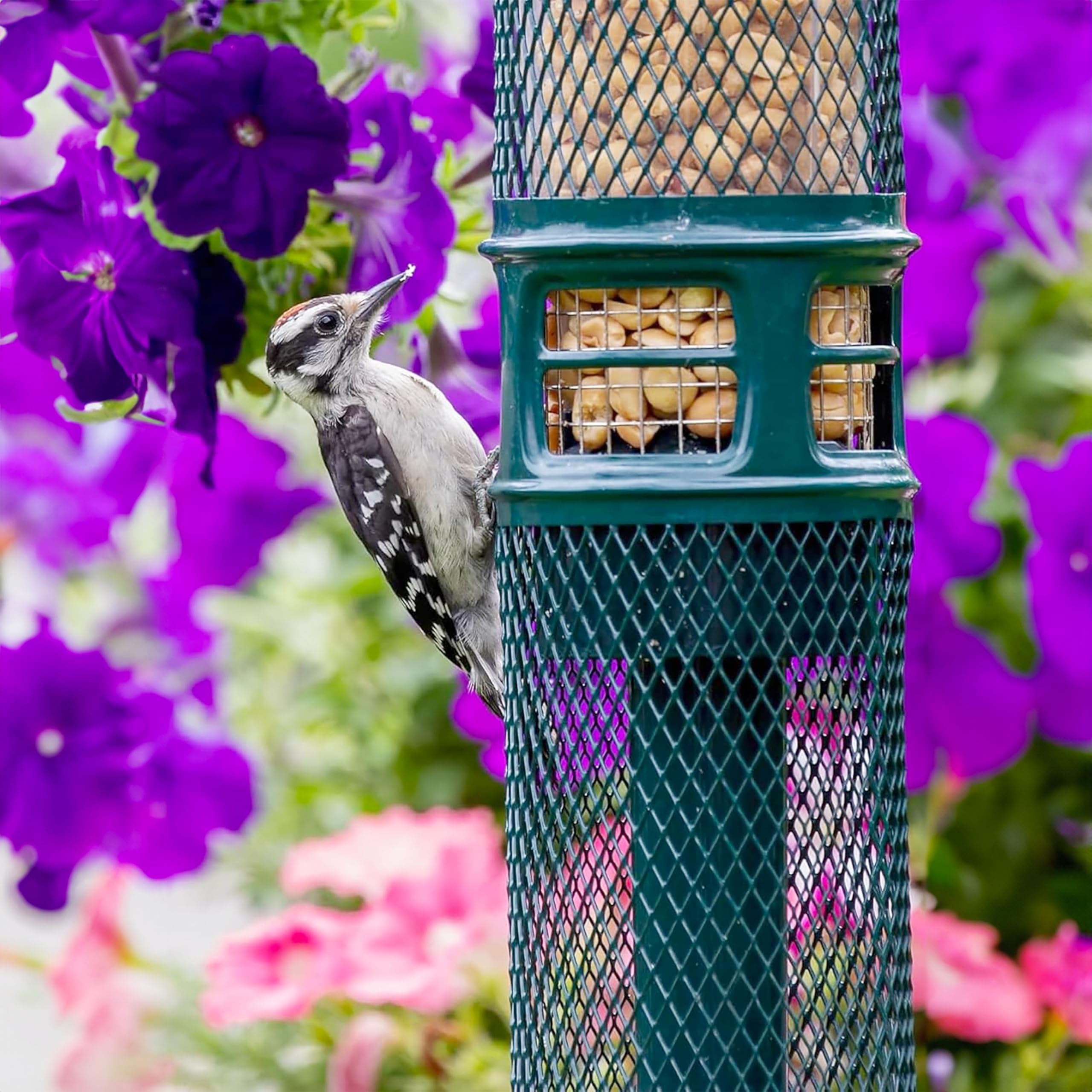 Brome Squirrel Buster feeder weight-adjustable spring controls feeding access.