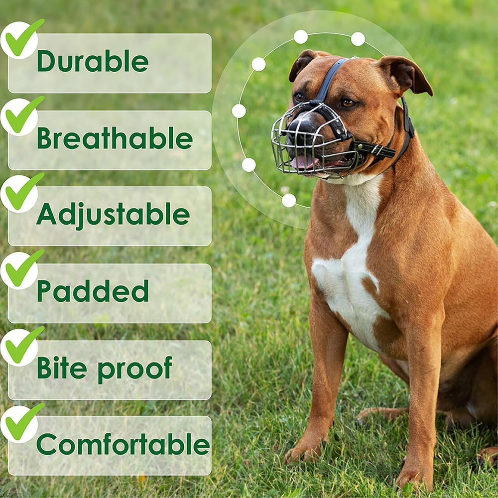 BRONZEDOG breathable design supports panting and water drinking