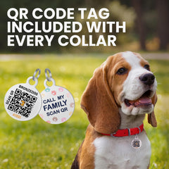 BRONZEDOG collar buckle and D-ring for secure leash attachment