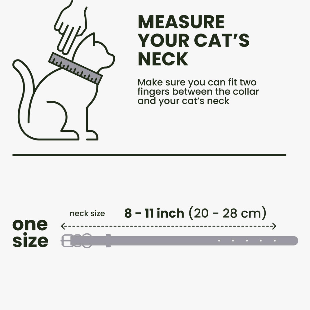 BRONZEDOG color-variety cat collars offering playful personality options.