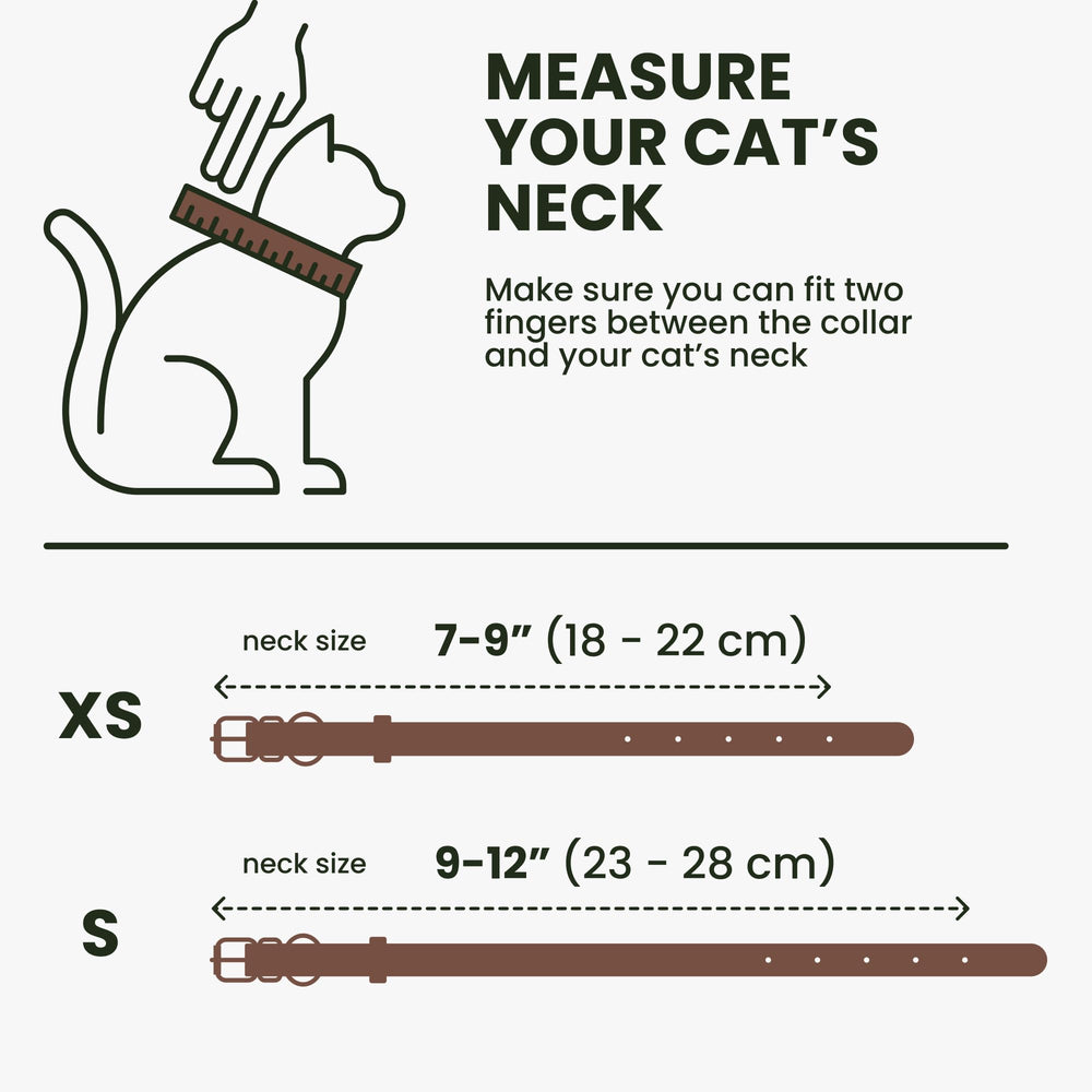 BRONZEDOG kitten-size collar shows adjustable sizing for growing pets.