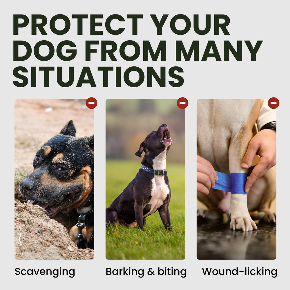 BRONZEDOG muzzle adjustable buckles provide a secure, customizable fit.