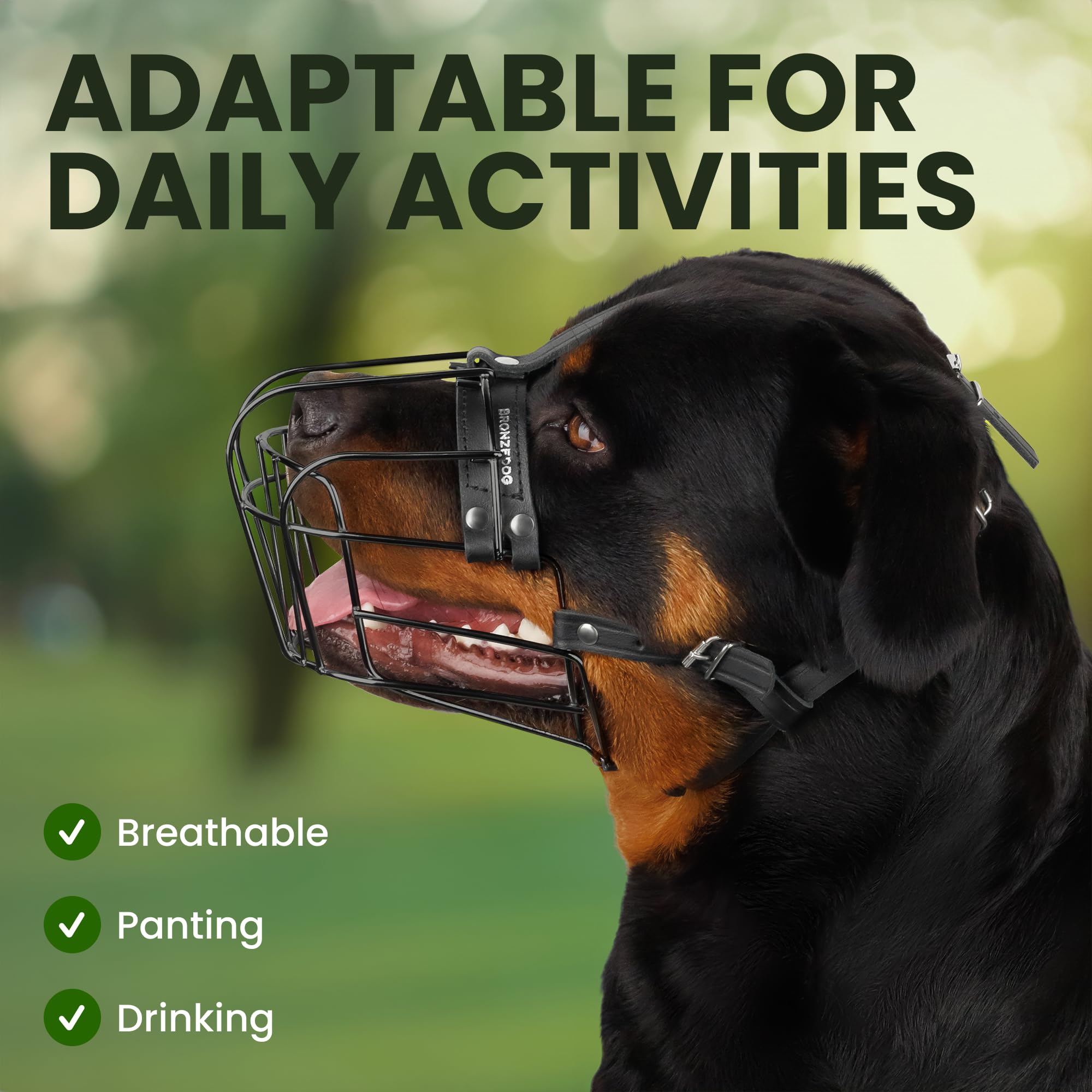 BRONZEDOG muzzle dog drinking ability supports hydration during supervised walks.