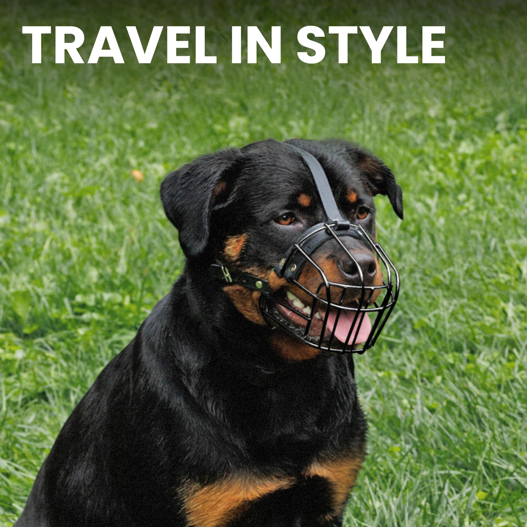 BRONZEDOG muzzle large dogs training scenarios help with safe introductions.