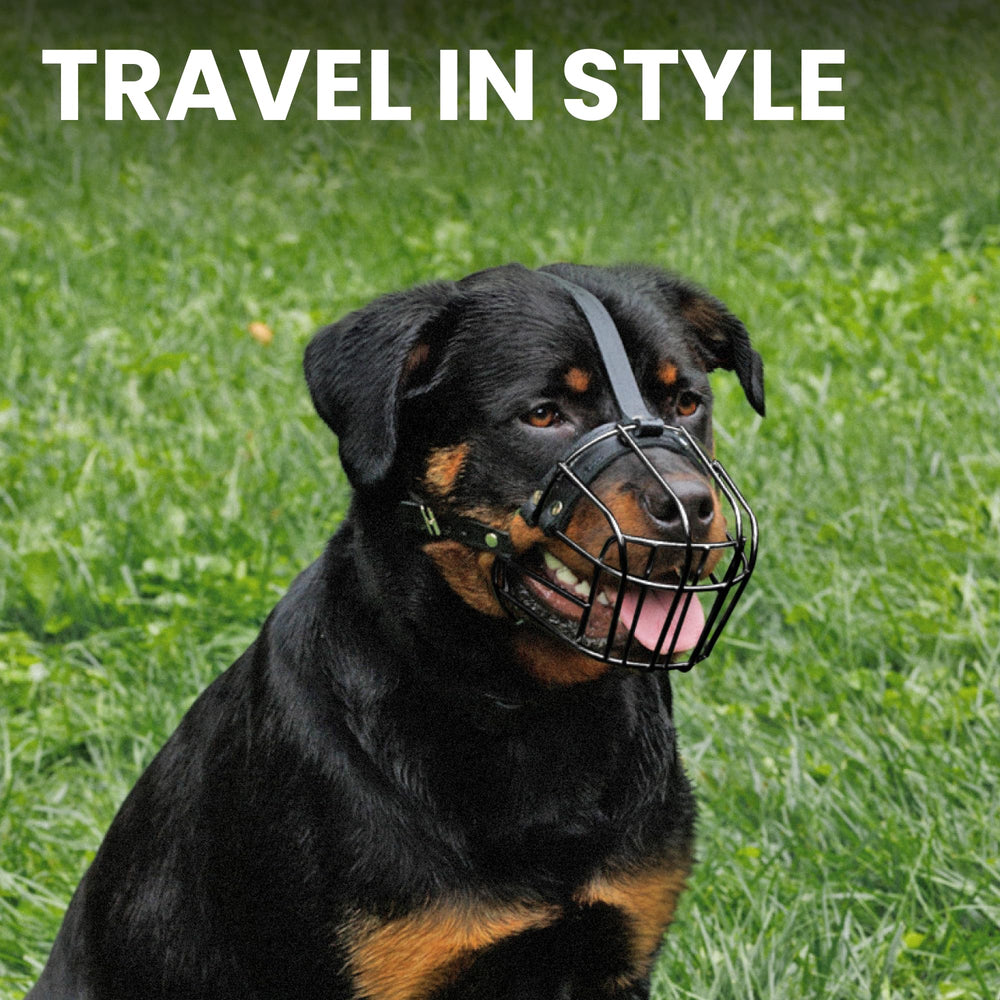 BRONZEDOG muzzle large dogs training scenarios help with safe introductions.