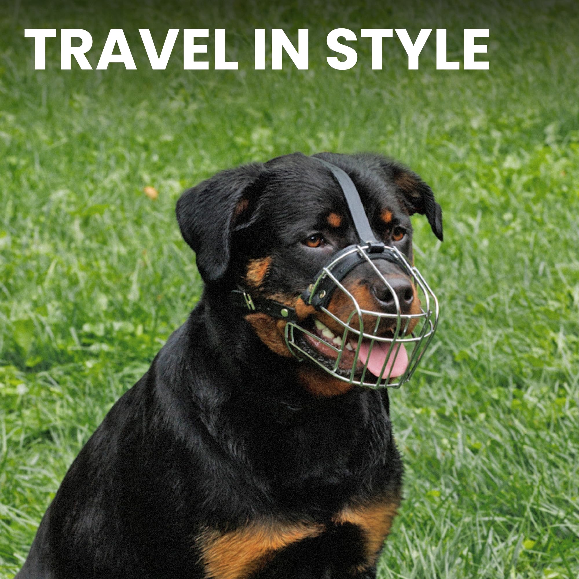 BRONZEDOG muzzle designed for large dogs, ideal for training and safe handling.