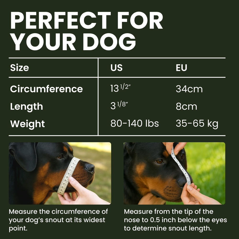 BRONZEDOG leather straps offer secure, comfortable fit for large dogs.