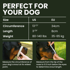 BRONZEDOG leather straps offer secure, comfortable fit for large dogs.