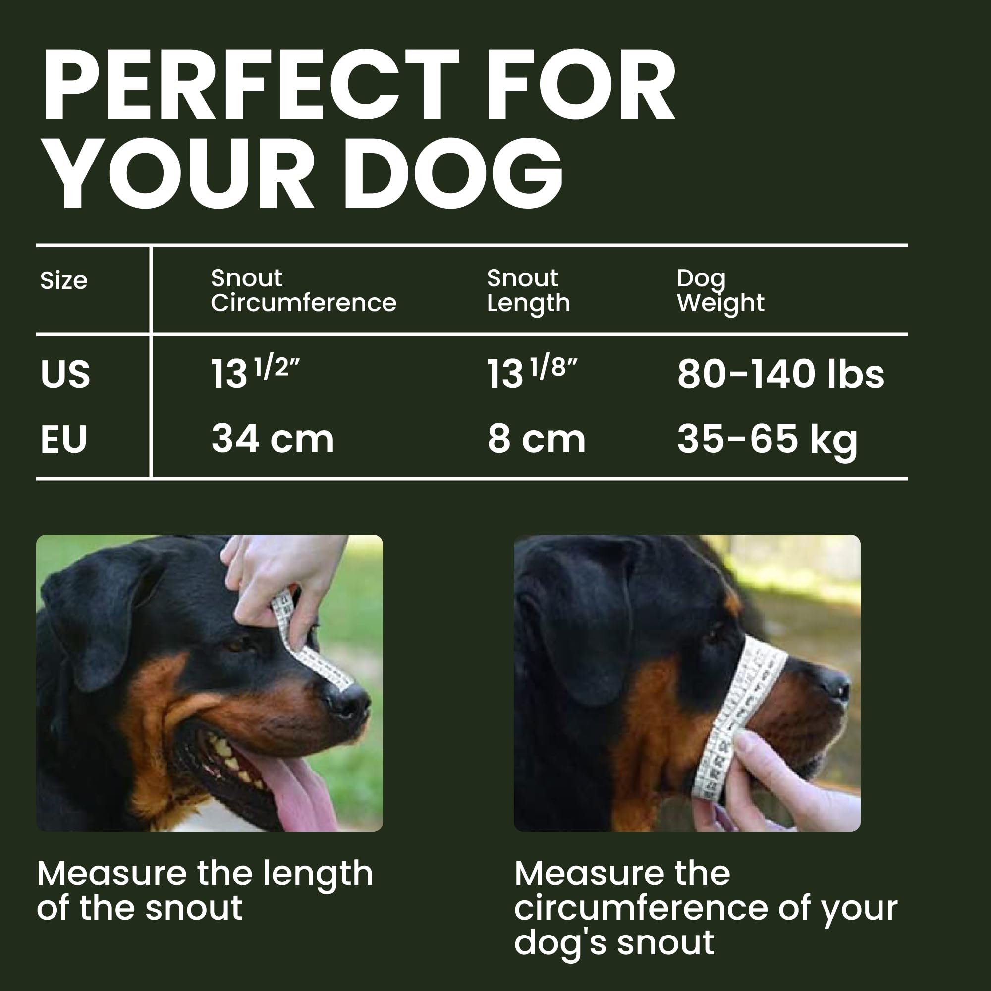 BRONZEDOG muzzle PVC basket construction demonstrates sturdy protection for safer outings.