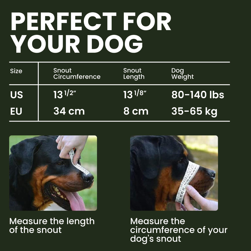 BRONZEDOG muzzle PVC basket construction demonstrates sturdy protection for safer outings.