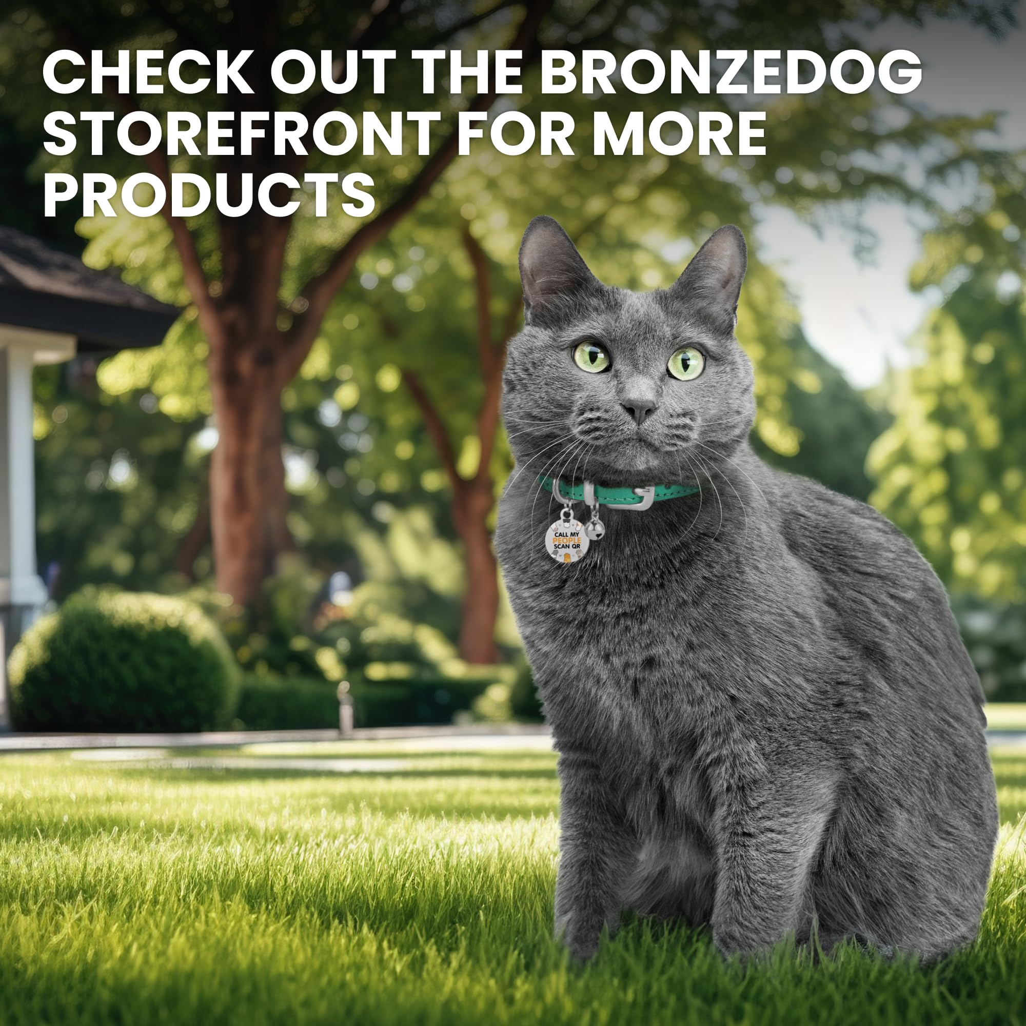 BRONZEDOG non-breakaway collar suited for indoor use