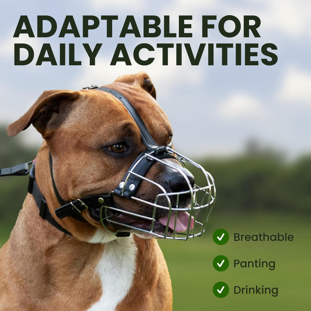 BRONZEDOG Pitbull muzzle airflow design supports panting and hydration