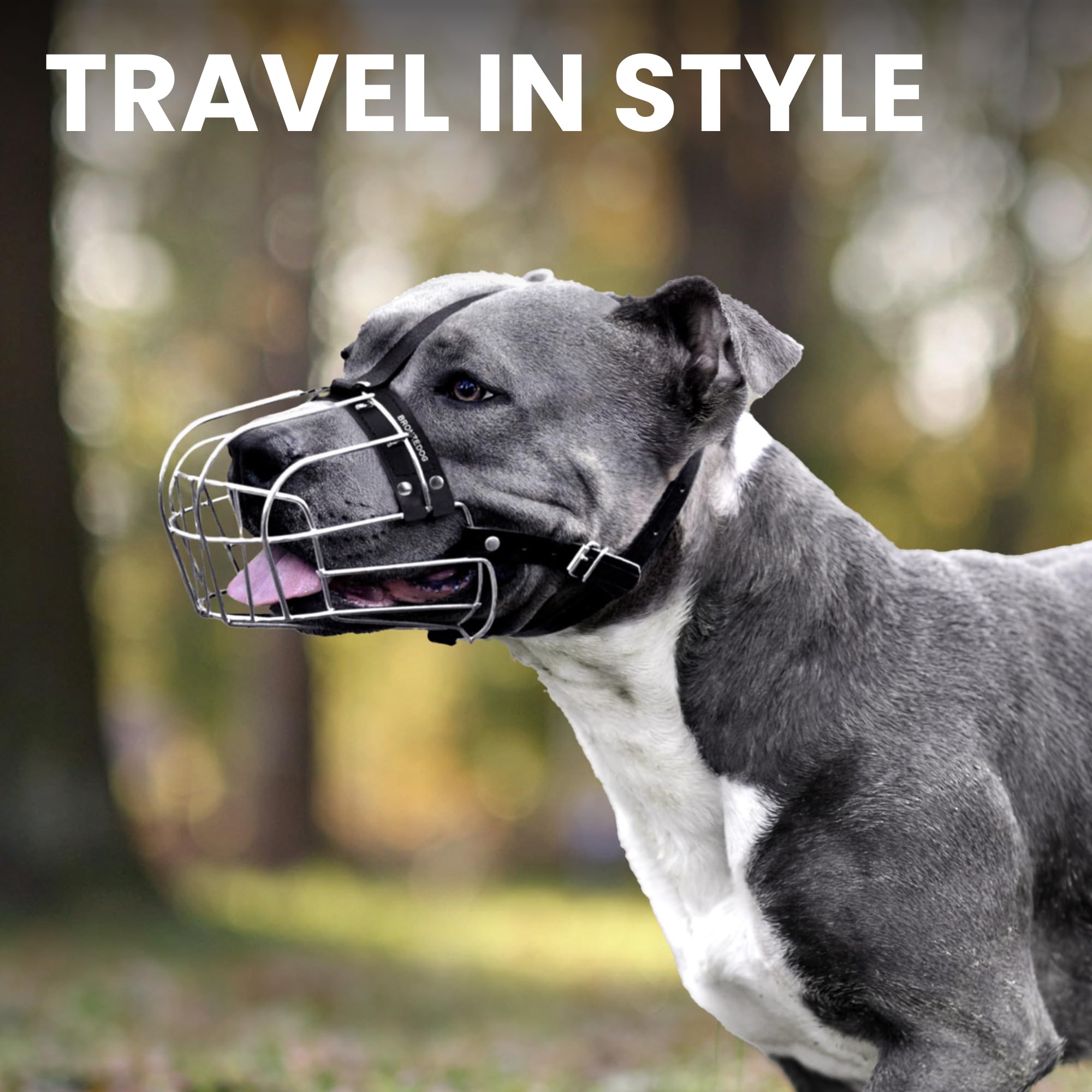 BRONZEDOG Pitbull muzzle head strap adjustments ensure snug placement