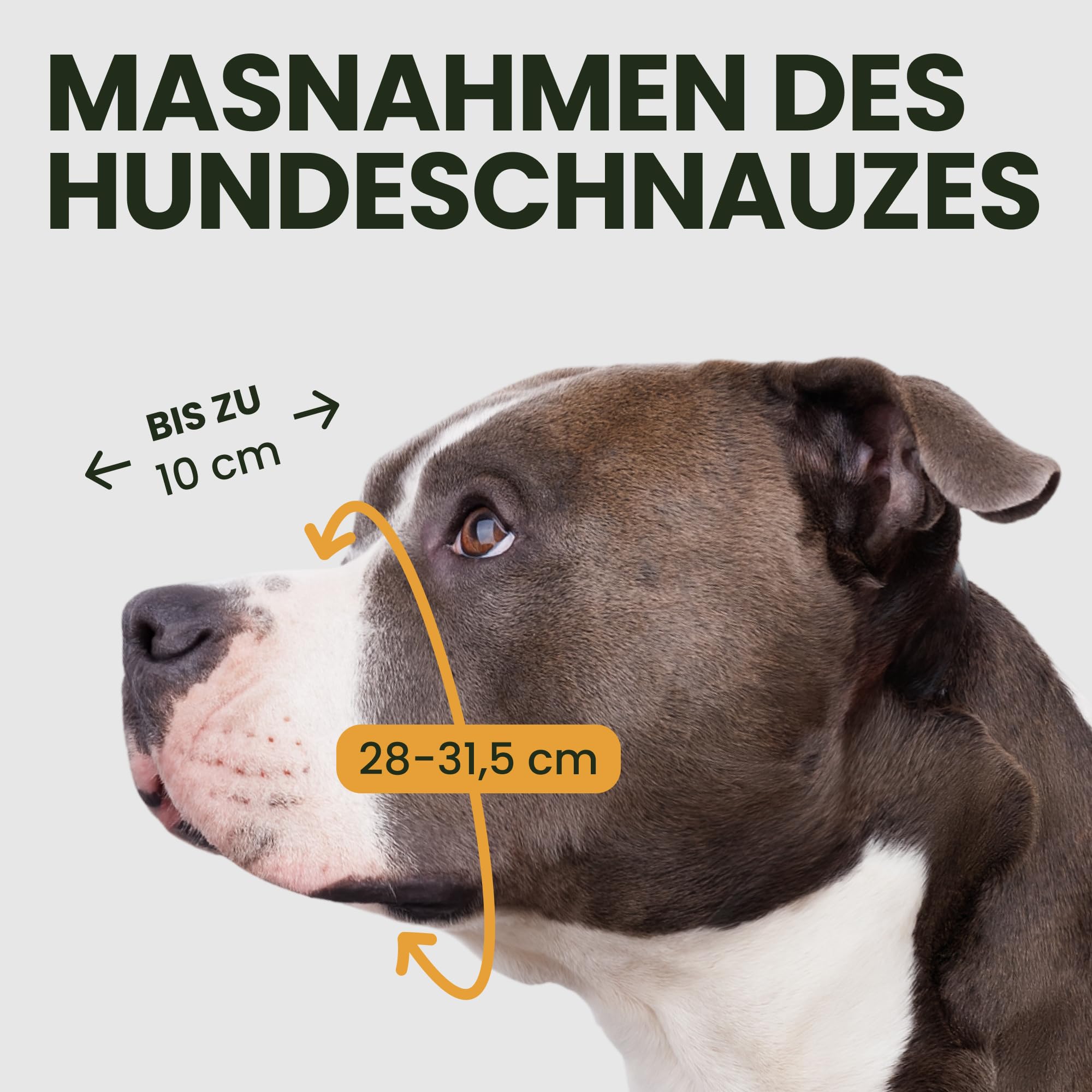 BRONZEDOG Pitbull muzzle metal basket side straps adjustment highlights customizable fit