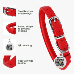 BRONZEDOG QR ID tag on collar for quick identification