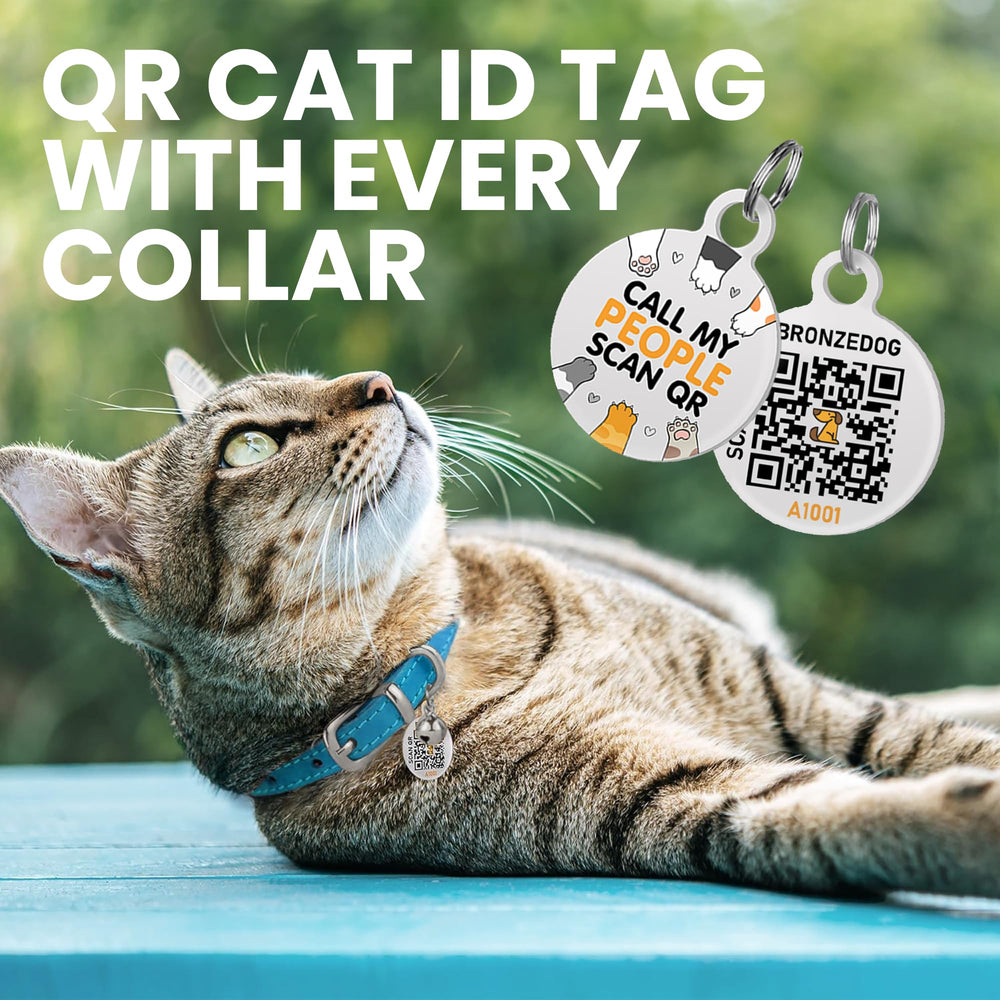 BRONZEDOG QR ID tag provides quick pet profile access