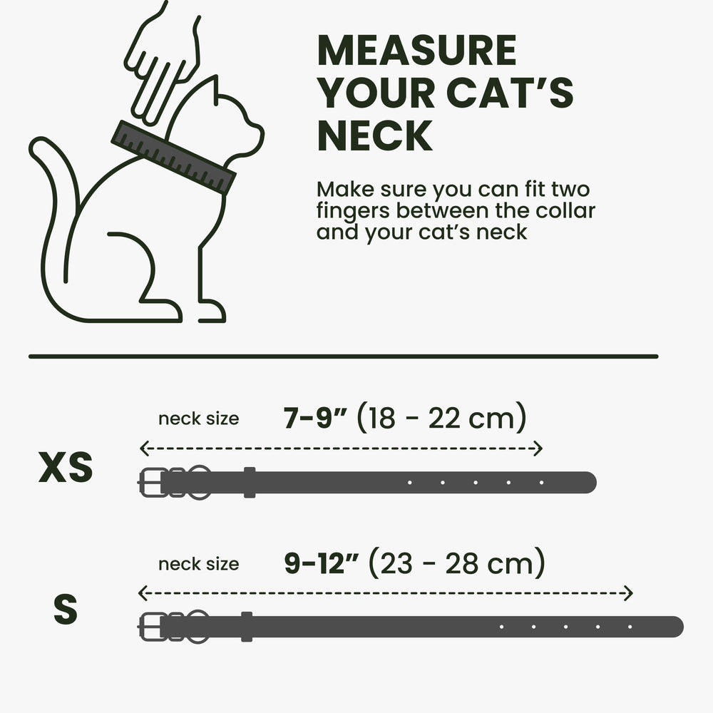 Bronzedog silicone ID holder protects the pet tag
