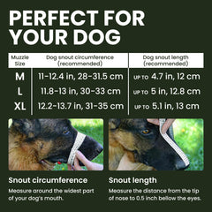 BRONZEDOG muzzle highlights leather straps for secure adjustments during outdoor activities