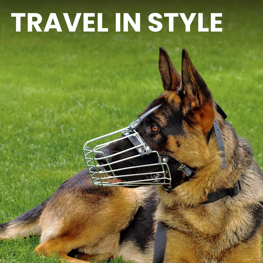 BRONZEDOG on German Shepherd demonstrates secure fit with adjustable straps for active dogs