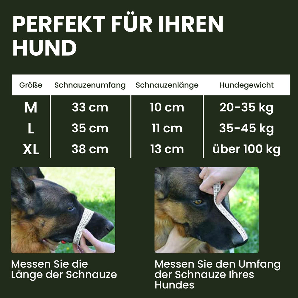 BRONZEDOG adjustable straps show a secure fit for medium to large dogs.
