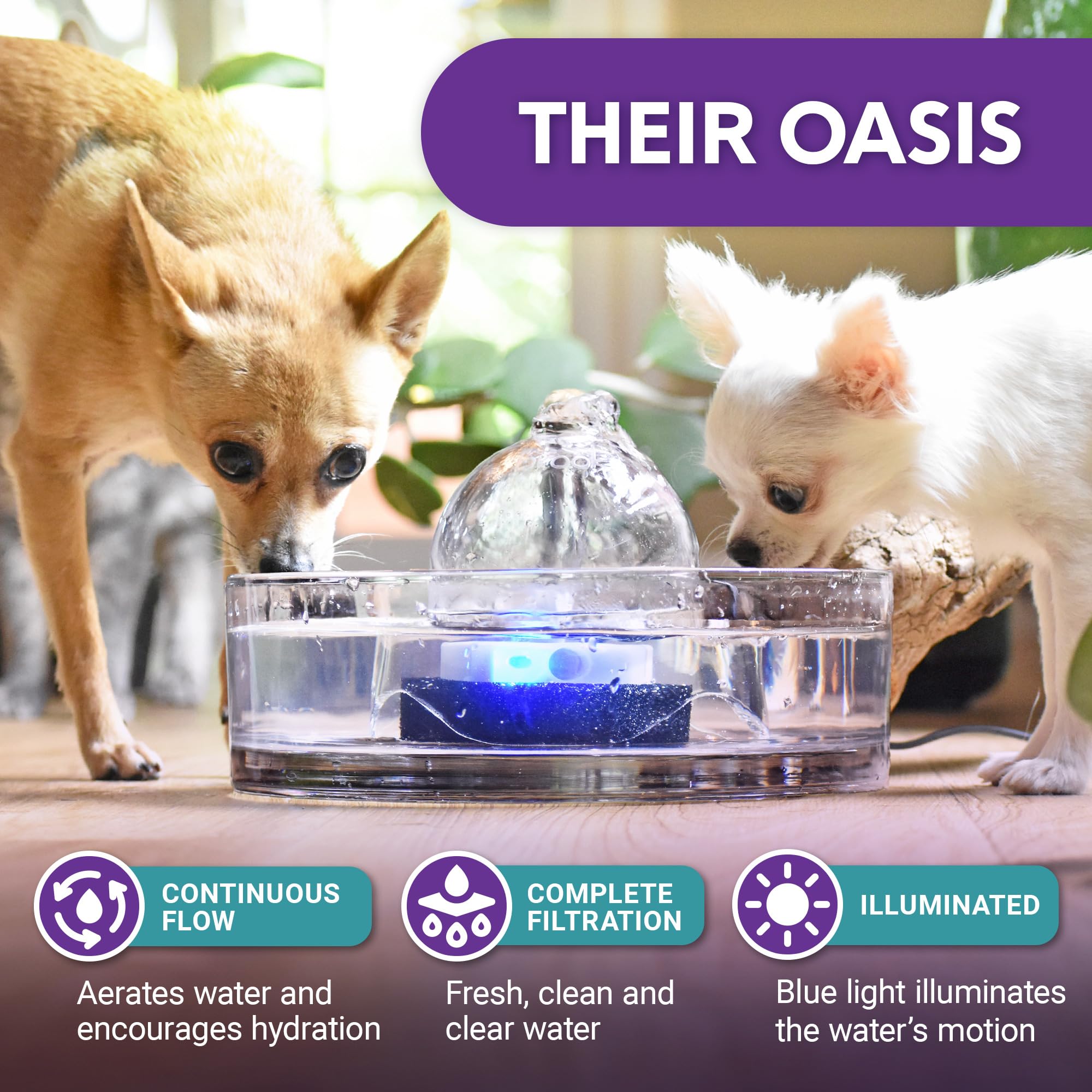 Brook Glass Pet Fountain assembly demonstrates quick disassembly for cleaning
