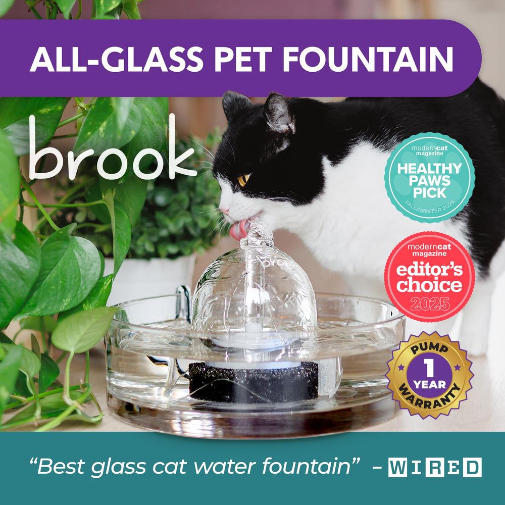 Brook Glass Pet Fountain dishwasher-friendly components simplify maintenance