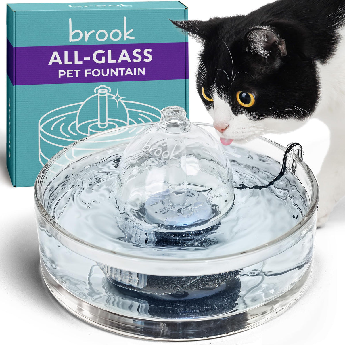 Brook Glass Pet Fountain front view shows easy-clean all-glass design