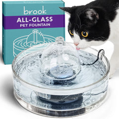 Brook Glass Pet Fountain front view shows easy-clean all-glass design