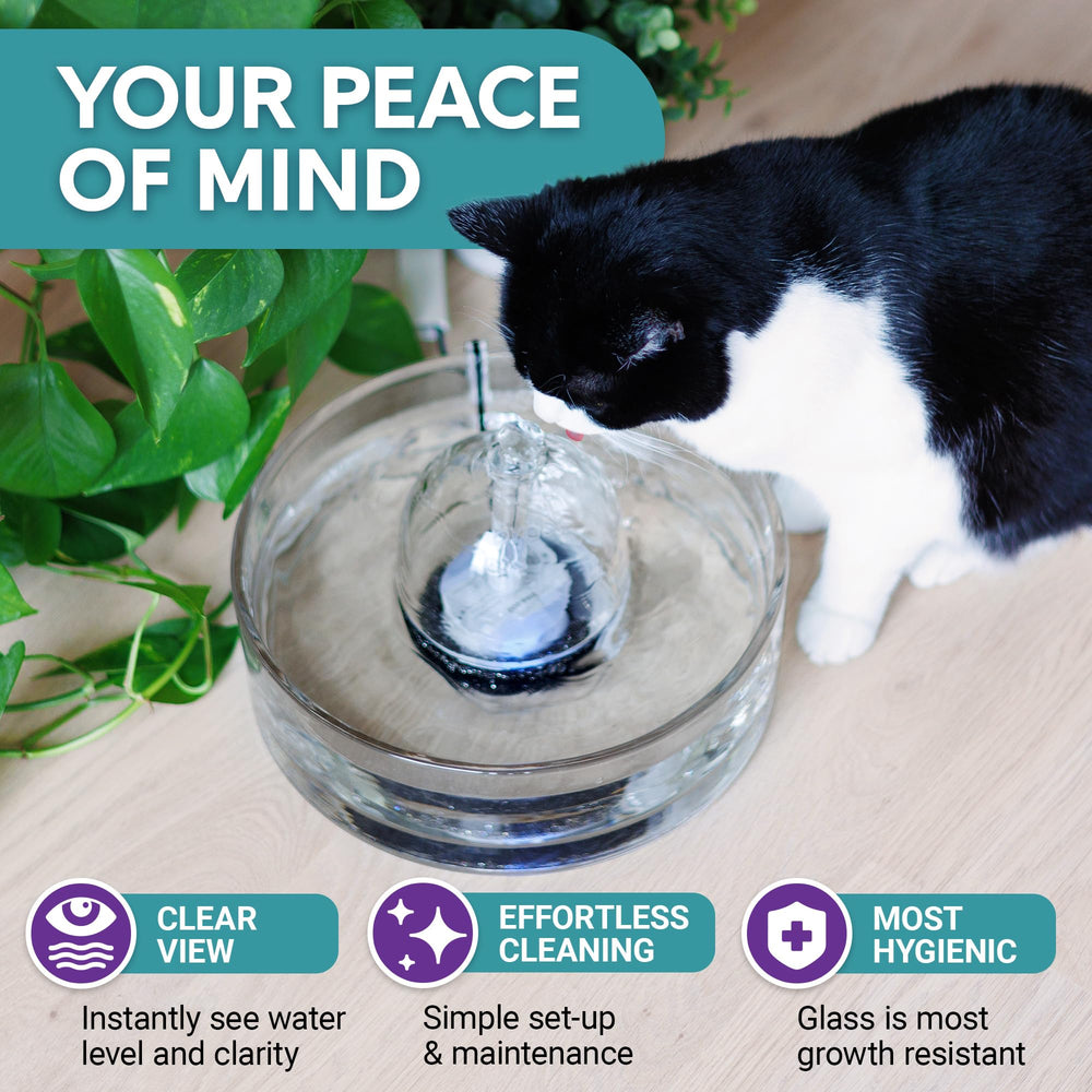 Brook Glass Pet Fountain water-flow illustrates adjustable levels for pets