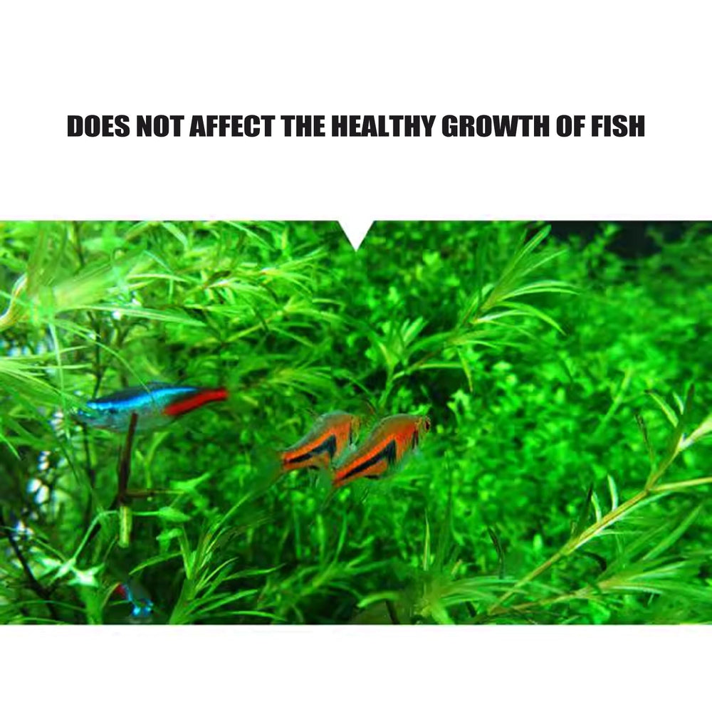 Brrnoo CO2 tablets for freshwater tanks offer consistent dosing