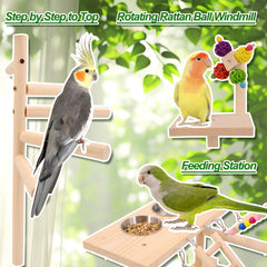 BRSLAIF bird ladder toys capture curious parrots mid-climb for stimulating enrichment.
