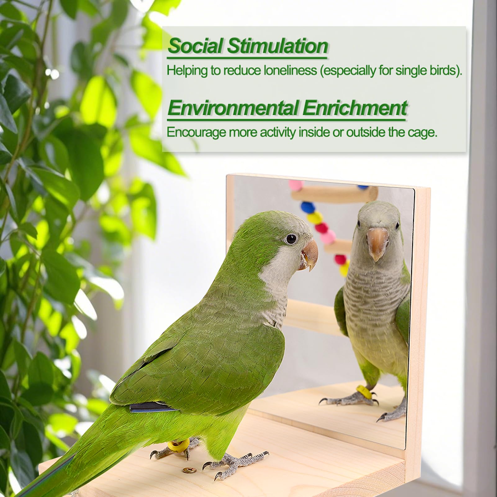 BRSLAIF bird perch stand multi-level highlights climbing routes that promote exercise and versatility.