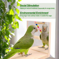 BRSLAIF bird perch stand multi-level highlights climbing routes that promote exercise and versatility.