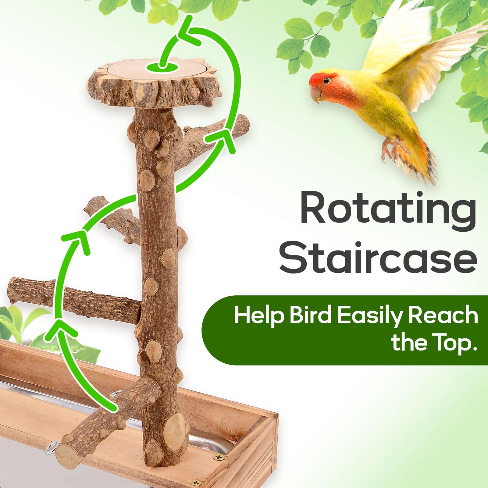 BRSLAIF dual-main-stems-design—two-way path encourages active exploration.