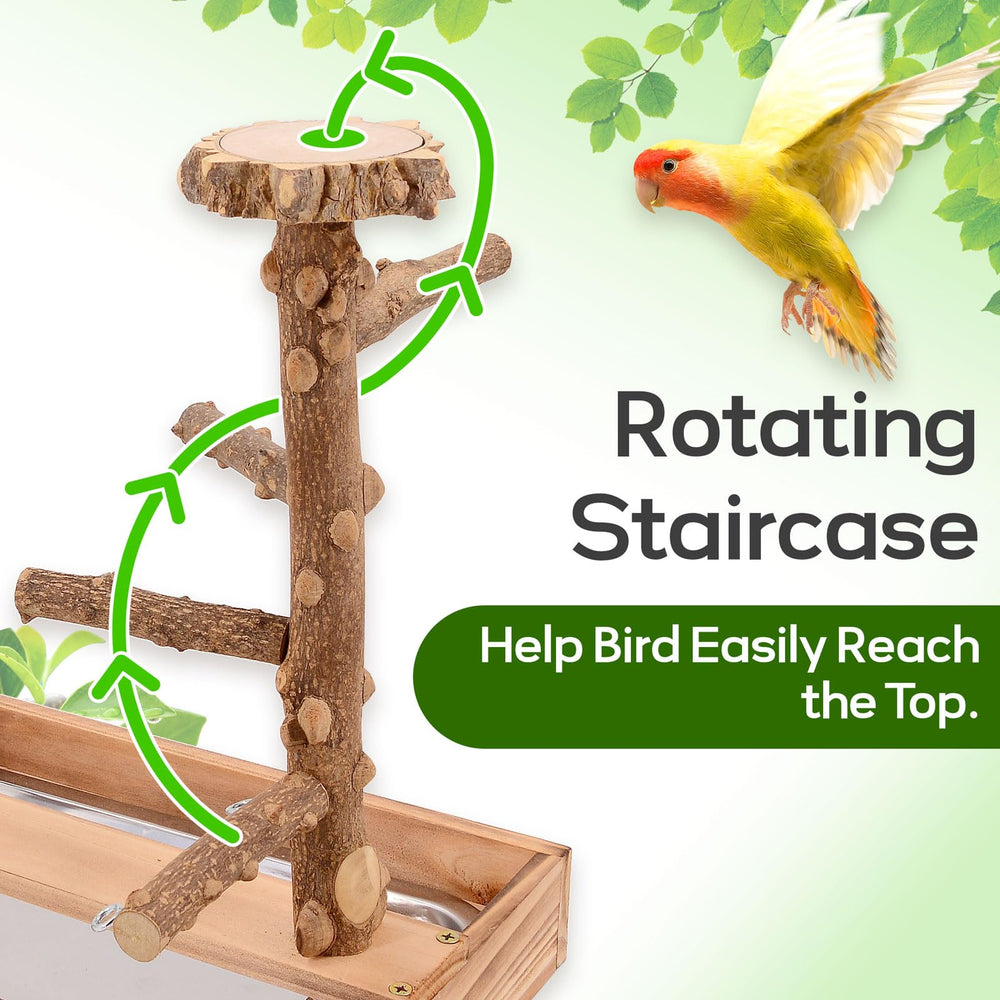 BRSLAIF dual-main-stems-design—two-way path encourages active exploration.