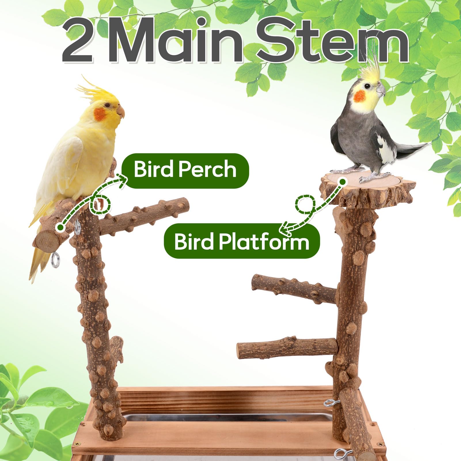 BRSLAIF easy-clean-bird-playground—removable tray simplifies cleaning after feeding.