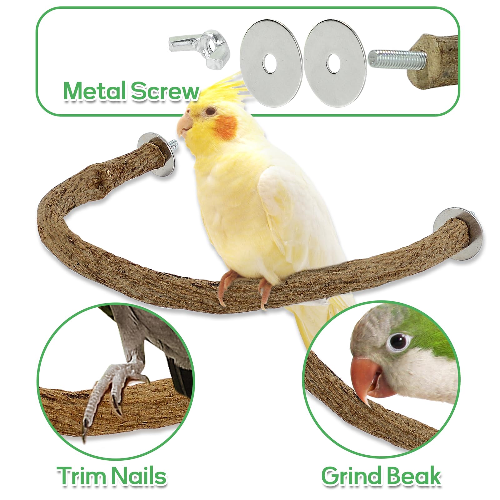 BRSLAIF I shaped 8 inch perch supports balanced grip and natural beak wear