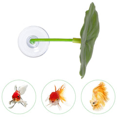 Bruislard betta leaf hammock durable plastic supports daily use in a busy tank.