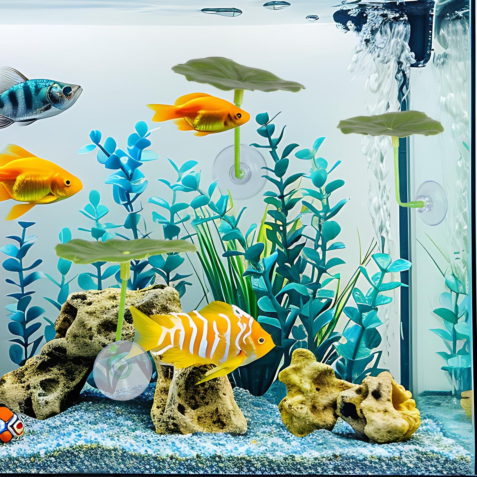 Bruislard betta leaf hammock suction cup securely attaches to tank surfaces.