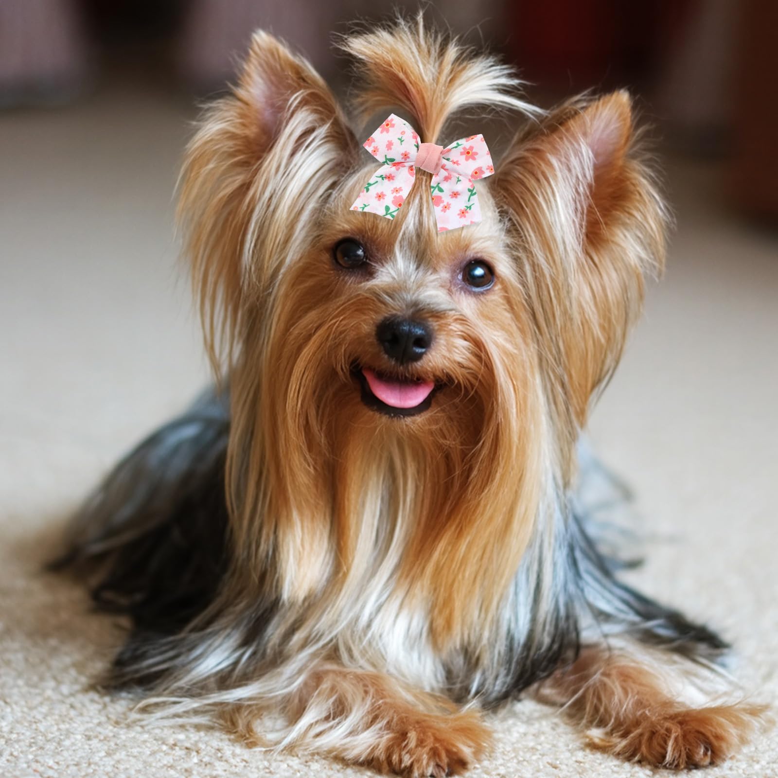 Bruislard pet accessory easy clip bow demonstrates effortless mounting.
