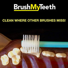 Brush My Teeth ergonomic handle supports comfortable daily brushing for small dogs