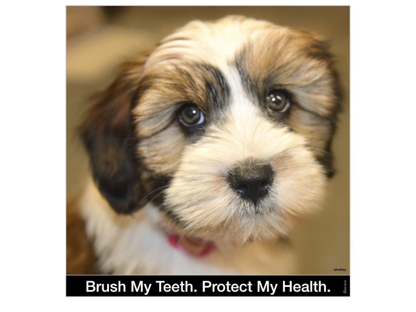 Brush My Teeth multicolor design offers appealing style for daily use