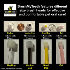 Brush My Teeth rounded-head brush cleans 1-2 teeth at a time during brushing