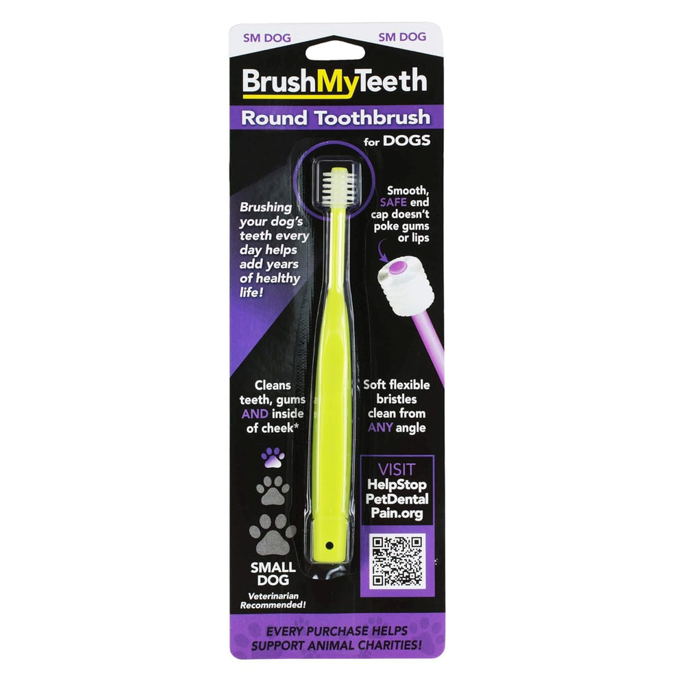 Brush My Teeth small dog toothbrush, rounded head, soft bristles for gentle cleaning