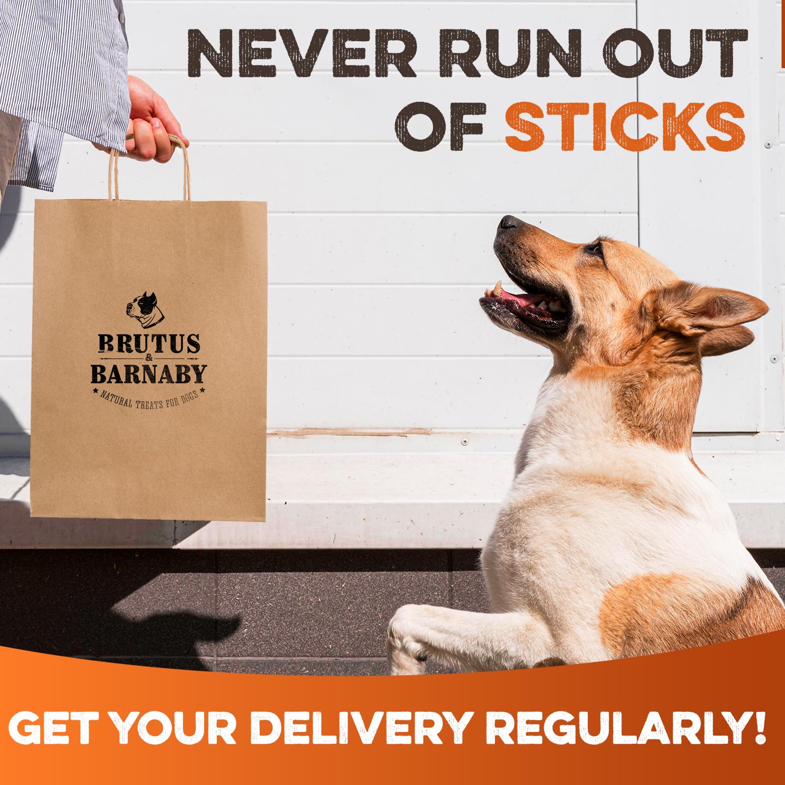 BRUTUS & BARNABY no hormones or preservatives, pure single-ingredient treats