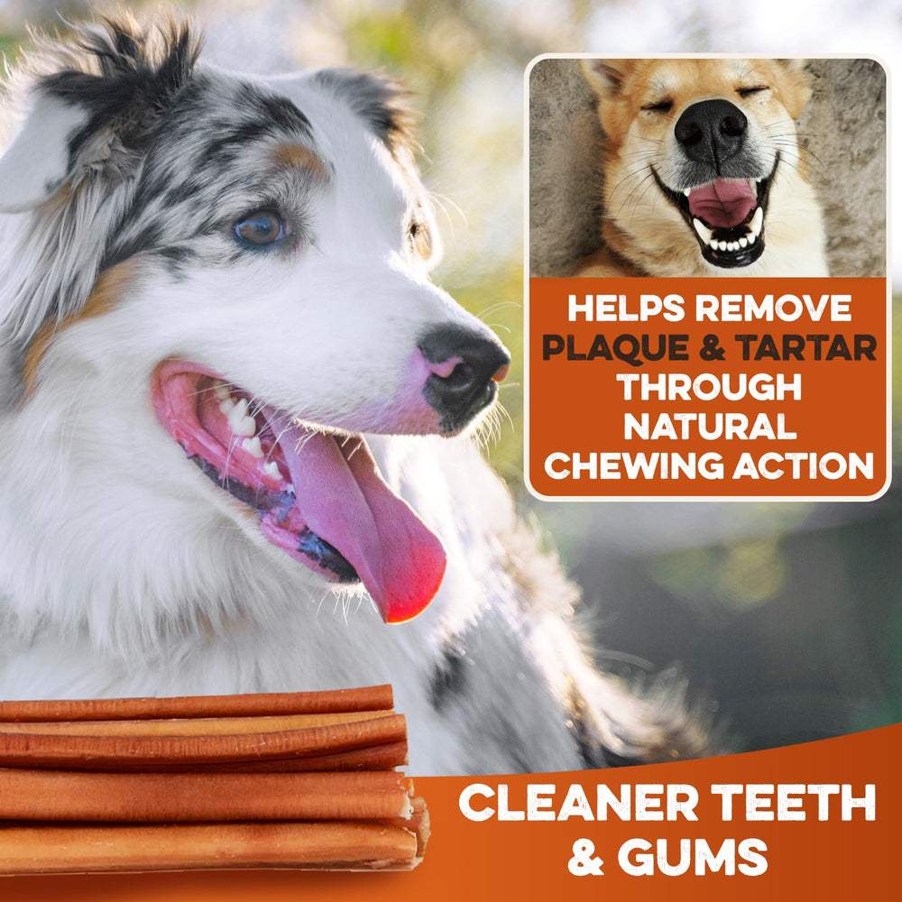 BRUTUS & BARNABY certified facility production, quality-assured chews for pet safety
